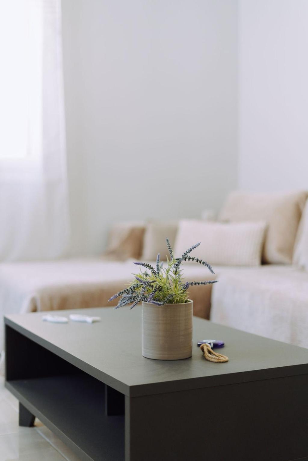 Lithostroto Suites أرغوستولي المظهر الخارجي الصورة